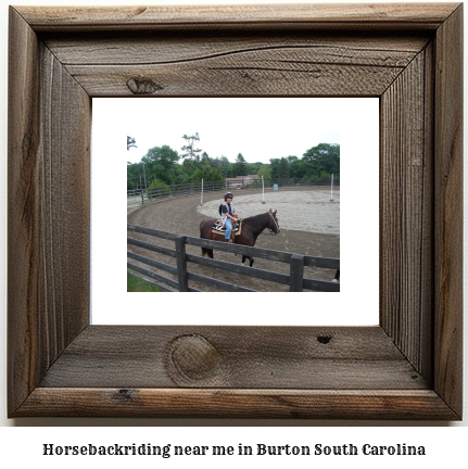 horseback riding near me in Burton, South Carolina